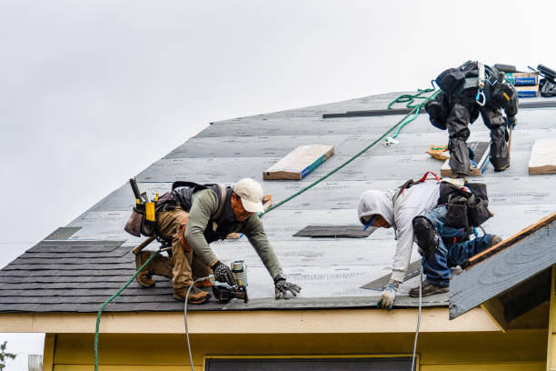 Professional Storm Damage Roof Repair technician working in Remsenburg, NY